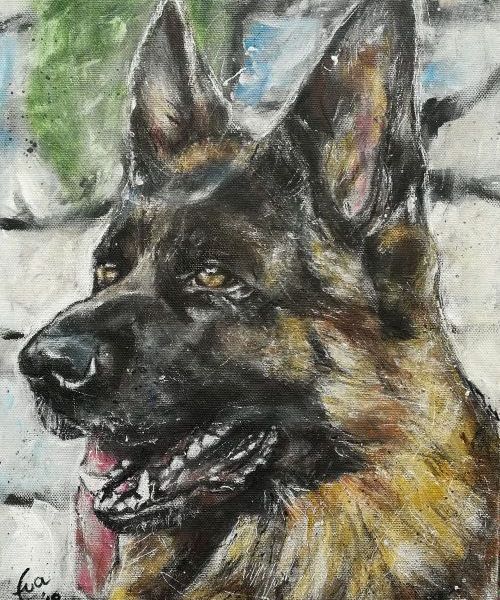 Hund_Auftrag_0Schnabl-