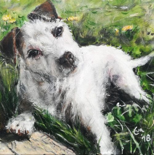 Hund_Chipsy_Auftrag2